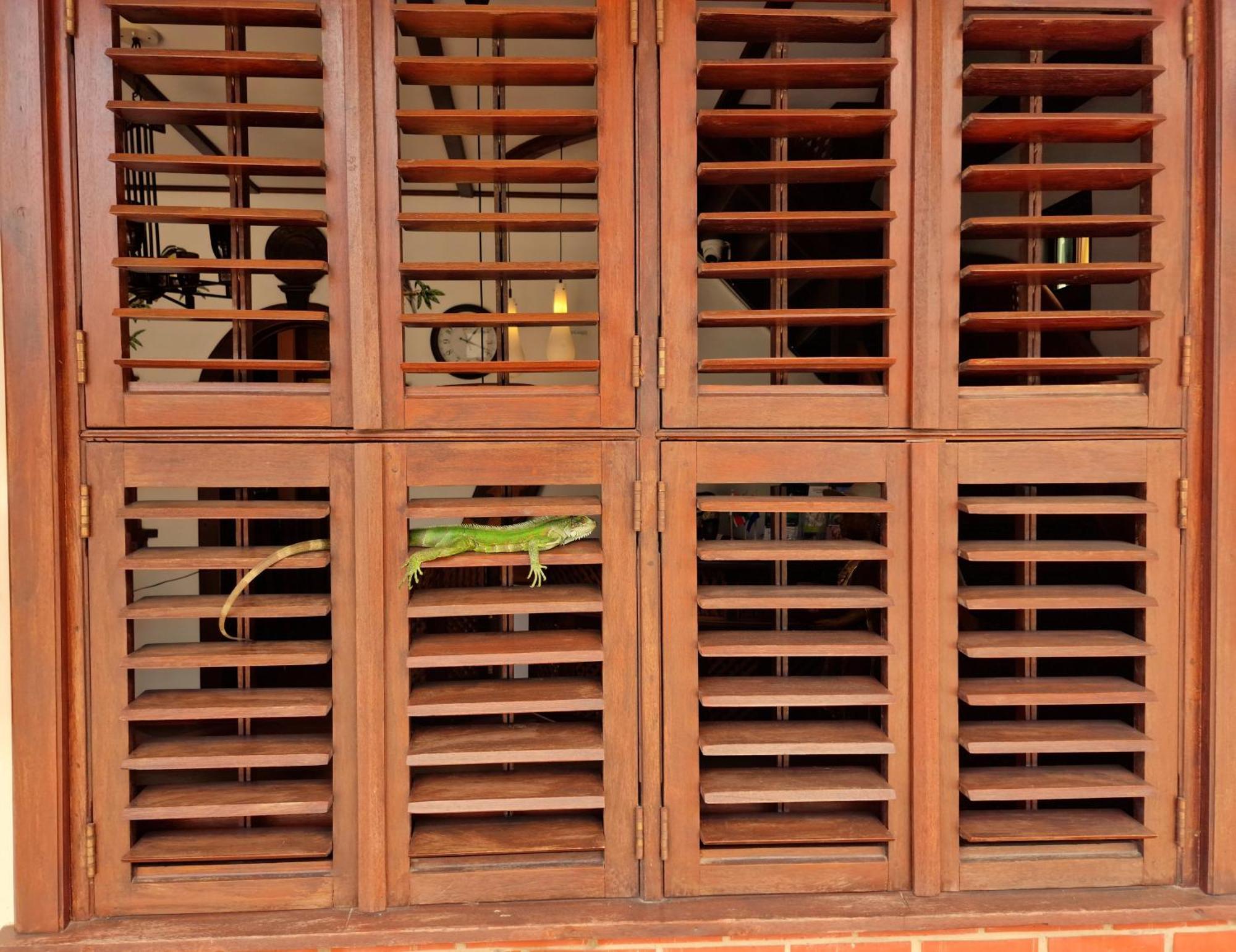 Greenheart Boutique Hotel Paramaribo Exterior foto